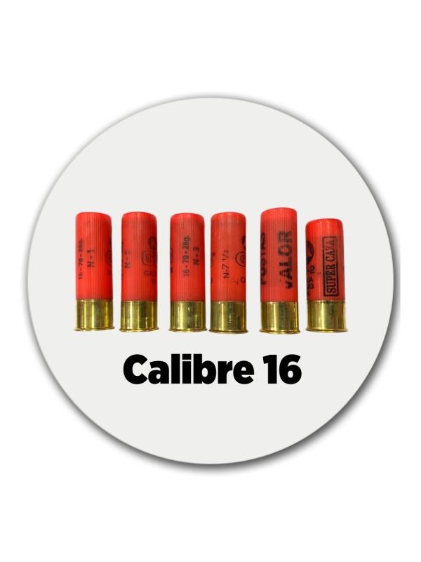 CALIBRE 16